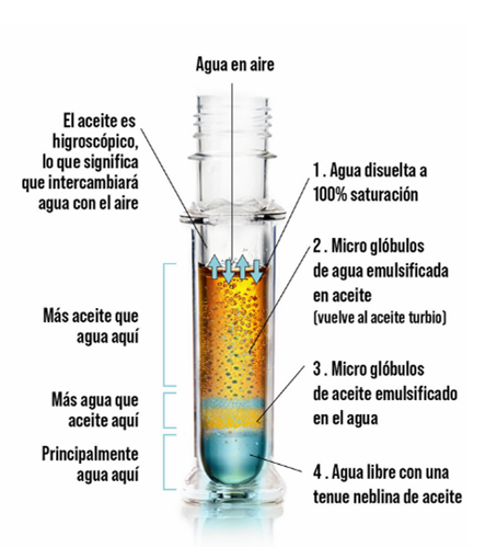Presencia de agua un riesgo subestimado