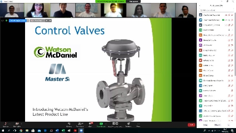Webinar: "Selección de válvulas de control para vapor en la industria"